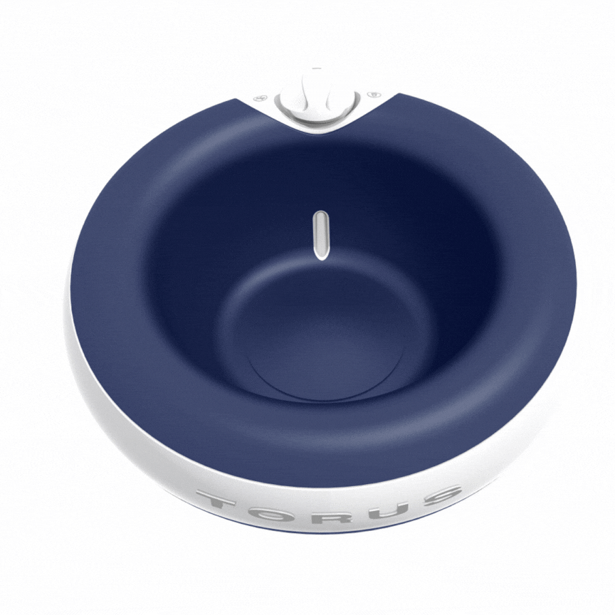 TORUS MAXI — 2L Filtered Water Bowl-0